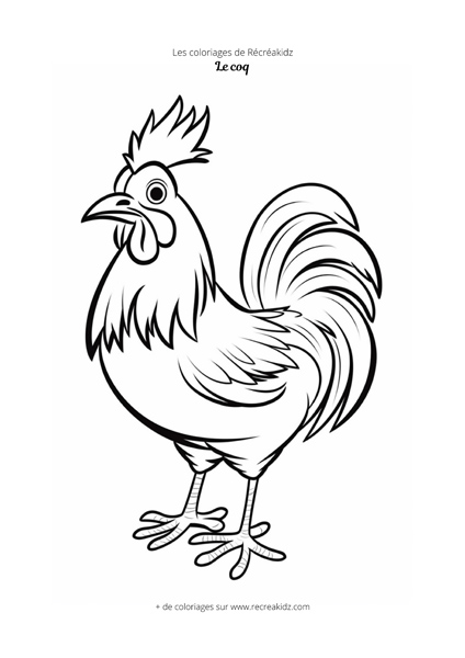 Coloriage coq simple