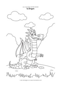 Coloriage dragon simple