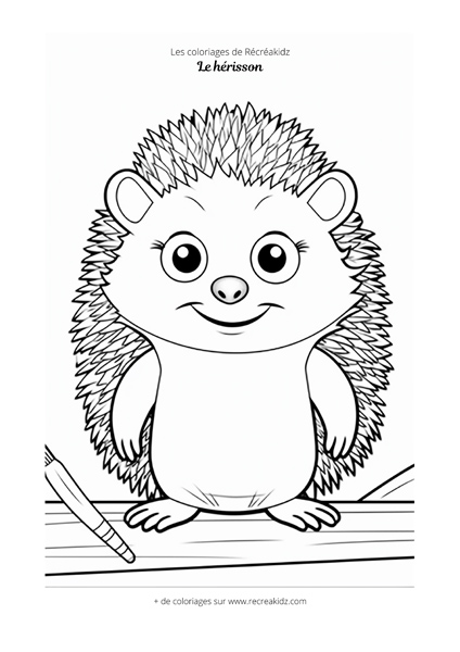 Coloriage hérisson mignon  Dessin à colorier & imprimer en PDF