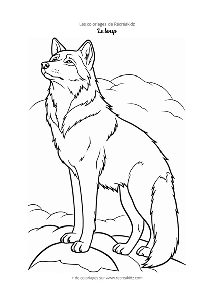 Coloriage loup noir et blanc