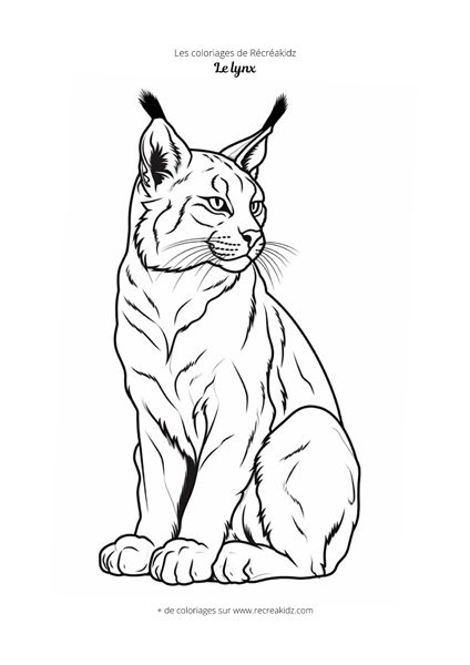 Coloriage lynx noir et blanc
