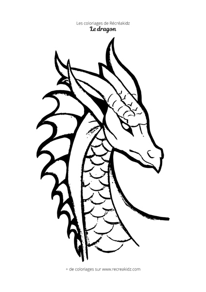 Coloriage tête de dragon