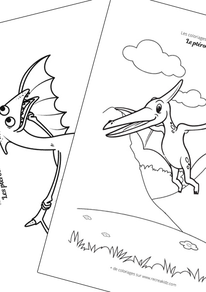 Ptérodactyle facile à dessiner maternelle