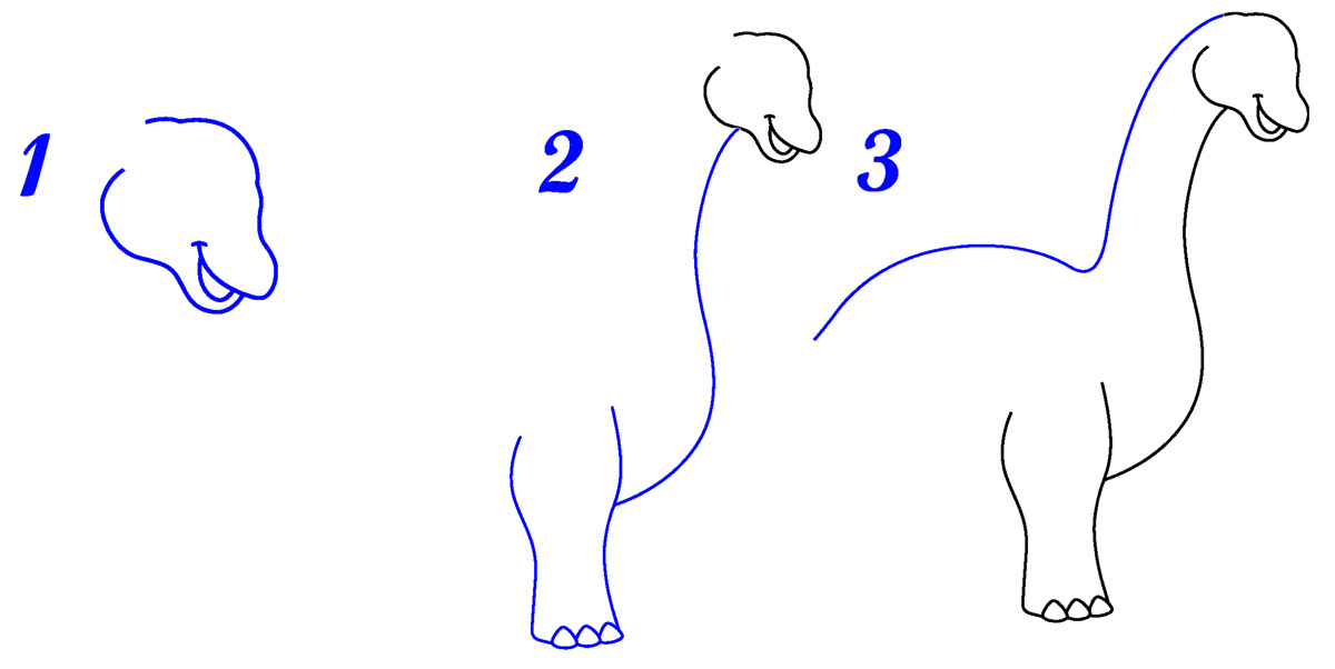 Tête de diplodocus dessin facile