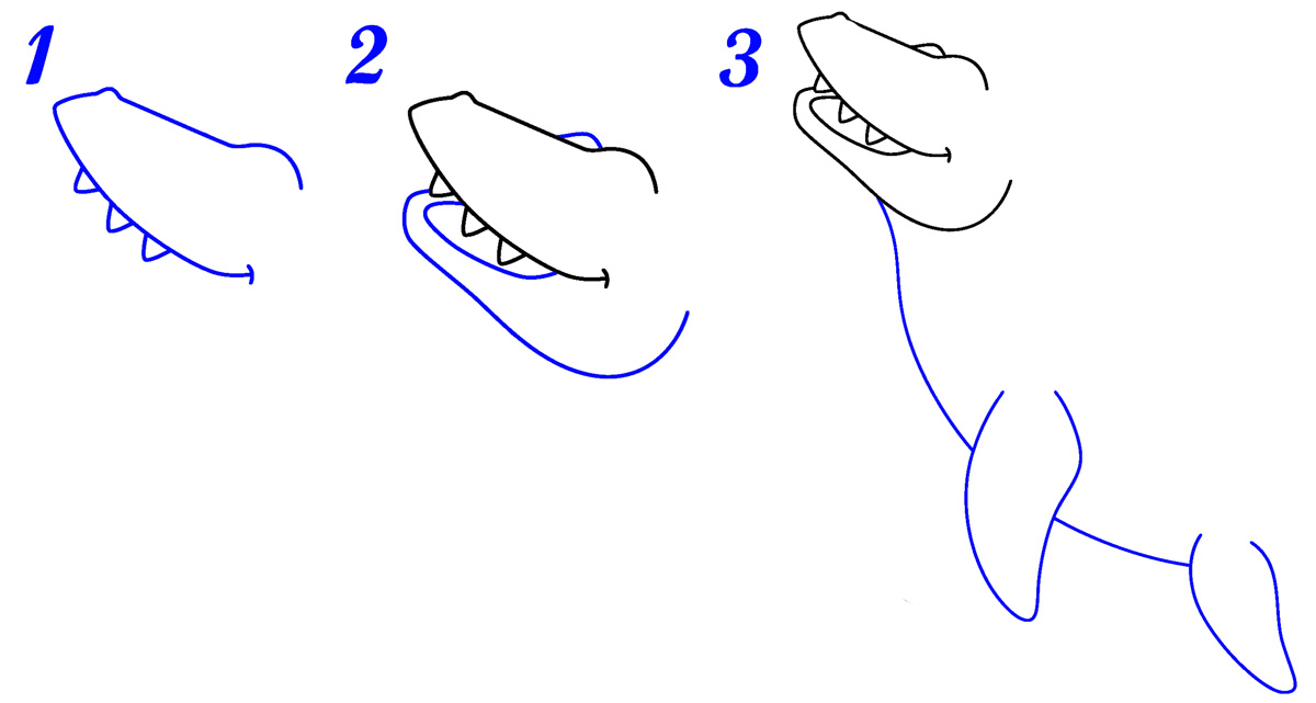 Tête de mosasaure dessin facile