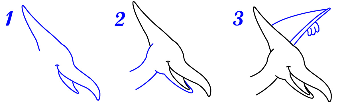 Tête de ptérodactyle dessin facile