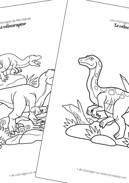 Vélociraptor facile à dessiner maternelle