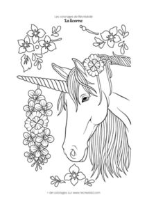 Coloriage tête de licorne pour adulte