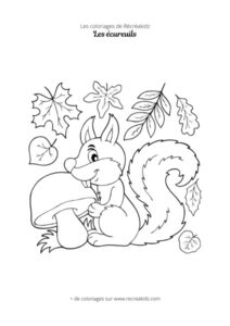 Coloriage écureuil maternelle