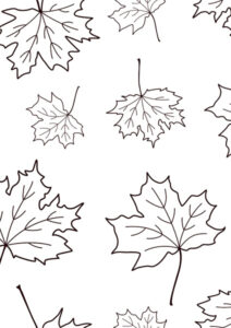 Coloriage feuille automne