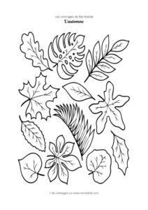 Coloriage feuille automne CP