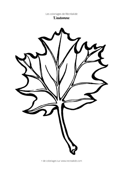 Coloriage feuille d'automne facile  Dessin à colorier & imprimer en PDF