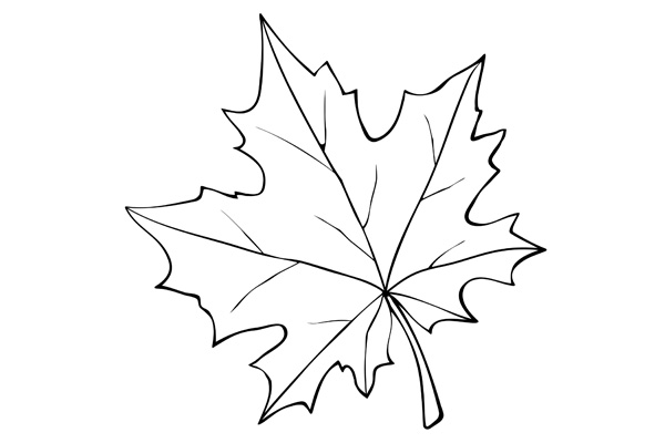 Coloriage feuille d'automne gratuit