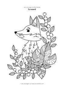 Coloriage renard difficile