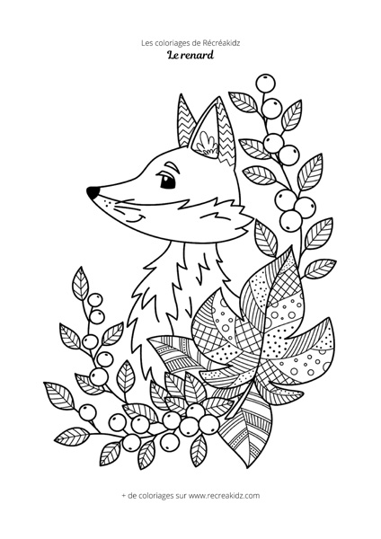 Coloriage renard difficile