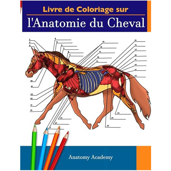 Livre de coloriage anatomie cheval