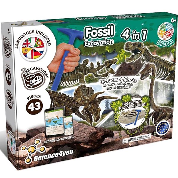 Kits de fouille fossiles scientifique 6 ans