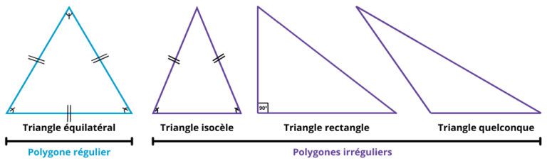 Évaluation les polygones CM1