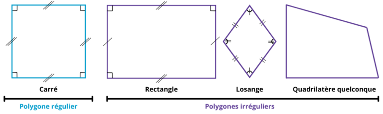 Évaluation les polygones CM2