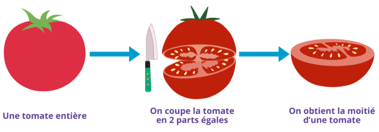 Exercices sur les moitiés CP