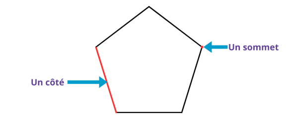 Leçon les polygones CE1 - CE2